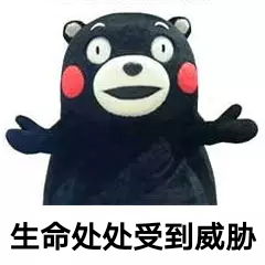 微信圖片_20241125200255.png
